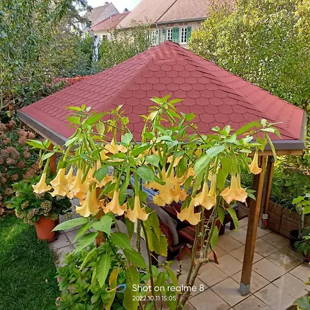 Urlaub Mit Charme In Der Kleinsten Stadt Der Pfalz. Appartement *