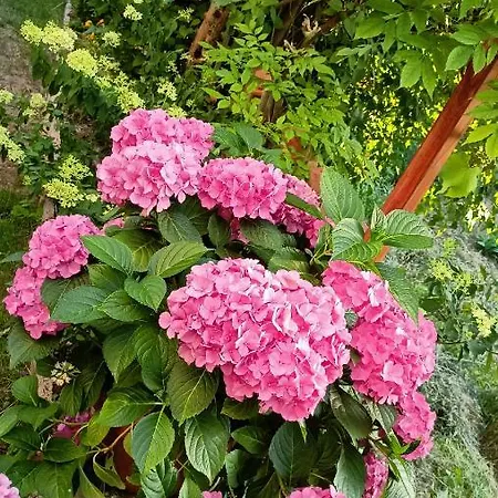 Appartement Urlaub Mit Charme In Der Kleinsten Stadt Der Pfalz.