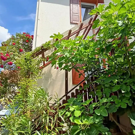 Urlaub Mit Charme In Der Kleinsten Stadt Der Pfalz. Appartement