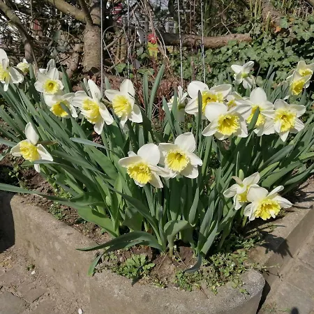 Urlaub Mit Charme In Der Kleinsten Stadt Der Pfalz. * Obermoschel