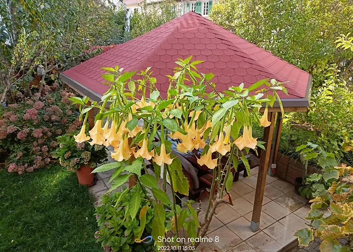 Urlaub Mit Charme In Der Kleinsten Stadt Der Pfalz. Appartement Obermoschel