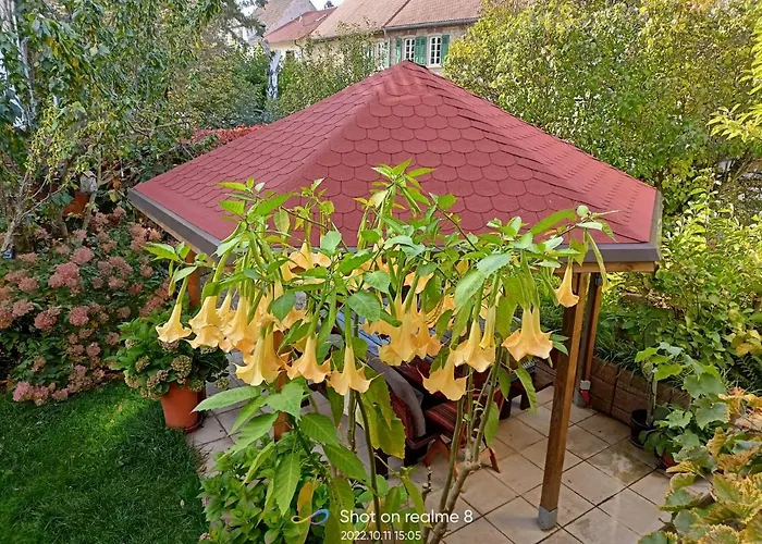 Urlaub Mit Charme In Der Kleinsten Stadt Der Pfalz. Appartement *