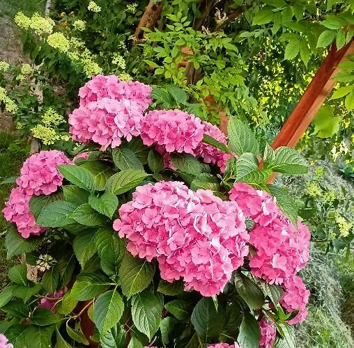 Appartamento Urlaub Mit Charme In Der Kleinsten Stadt Der Pfalz.