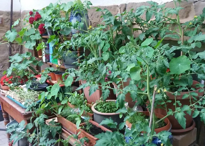 Urlaub Mit Charme In Der Kleinsten Stadt Der Pfalz.