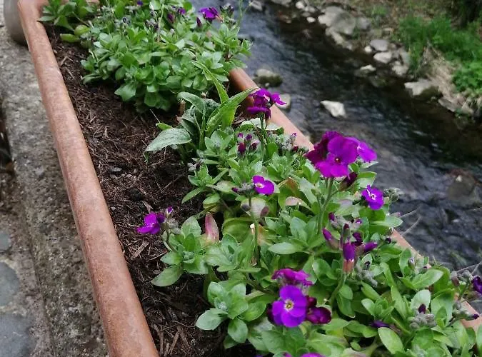 Appartamento Urlaub Mit Charme In Der Kleinsten Stadt Der Pfalz.