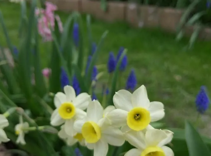 Urlaub Mit Charme In Der Kleinsten Stadt Der Pfalz. * Obermoschel