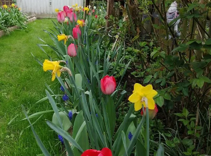 Urlaub Mit Charme In Der Kleinsten Stadt Der Pfalz. Appartamento