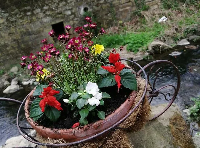 Urlaub Mit Charme In Der Kleinsten Stadt Der Pfalz.